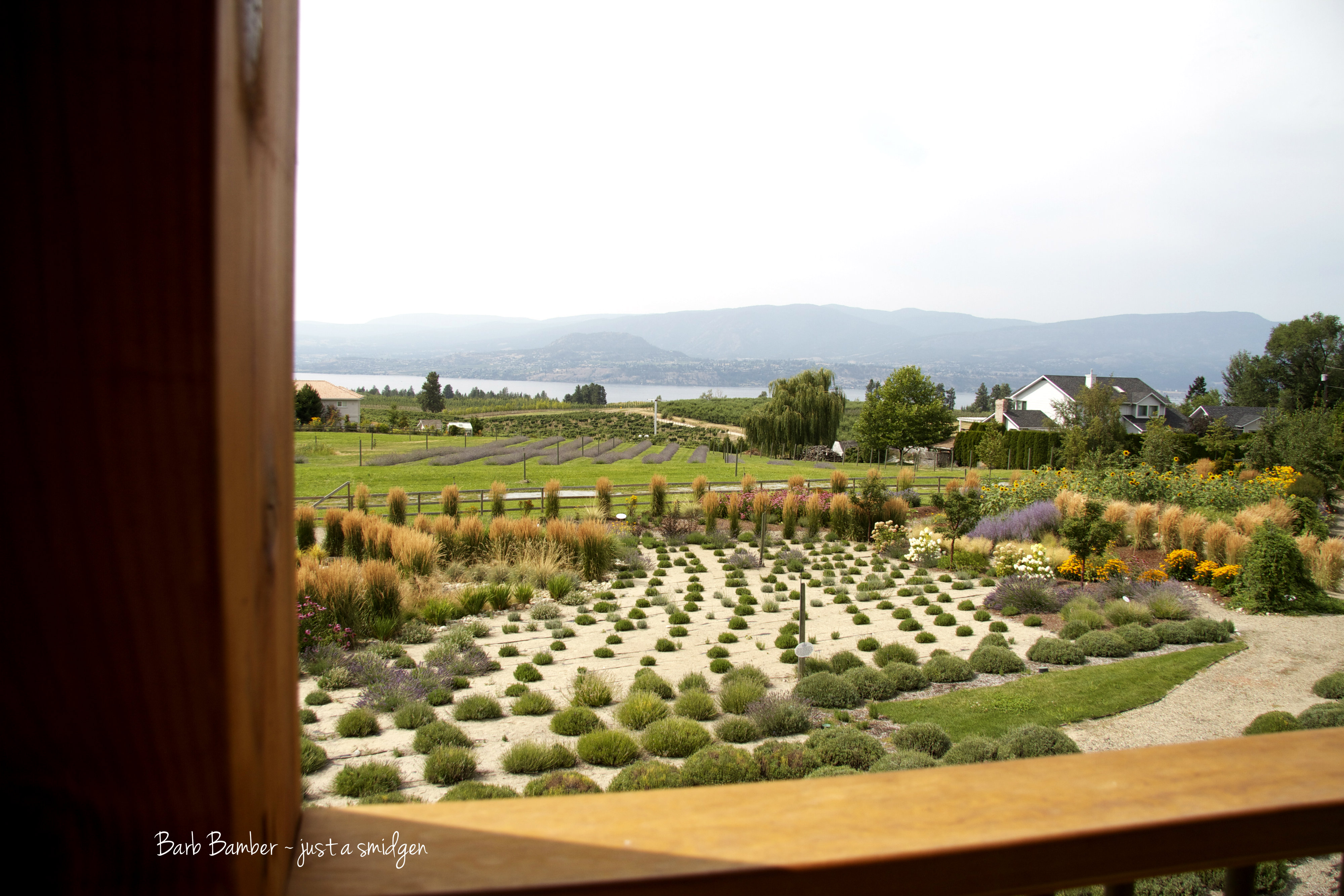 Okanagan Lavender Farm